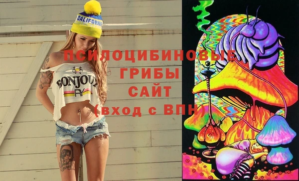 соль курить ск Няндома