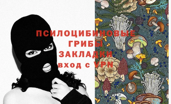 шишки Остров