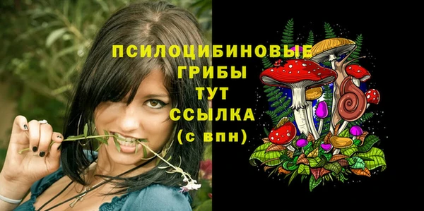 соль ск Осташков