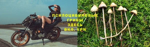 герыч Осинники