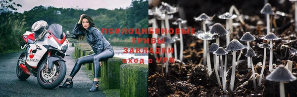 герыч Осинники