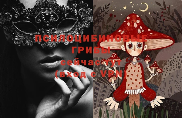 шишки Остров