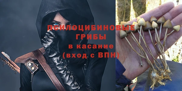 шишки Остров
