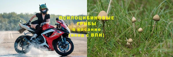 шишки Остров