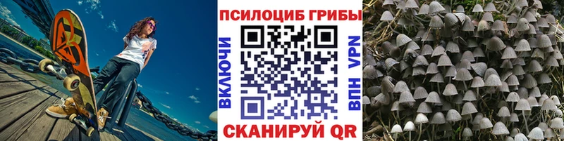 Галлюциногенные грибы Psilocybine cubensis цена KRAKEN ссылка Лодейное Поле