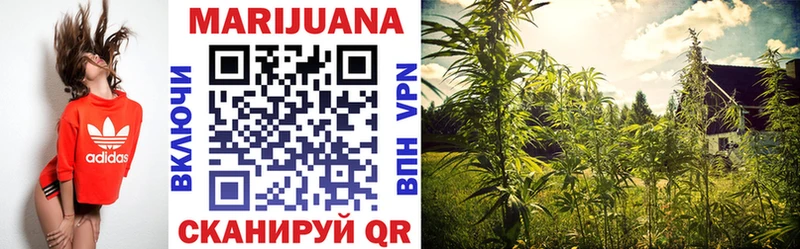 Конопля OG Kush  Лодейное Поле 